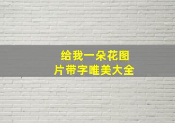 给我一朵花图片带字唯美大全