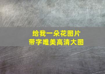 给我一朵花图片带字唯美高清大图