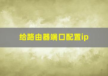 给路由器端口配置ip