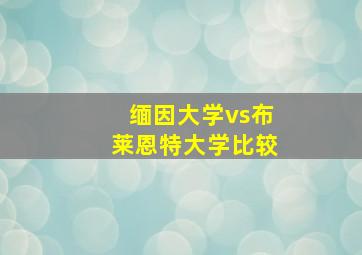 缅因大学vs布莱恩特大学比较