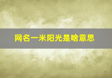 网名一米阳光是啥意思