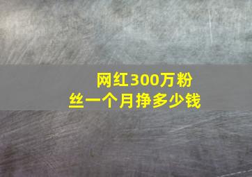 网红300万粉丝一个月挣多少钱