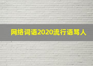 网络词语2020流行语骂人