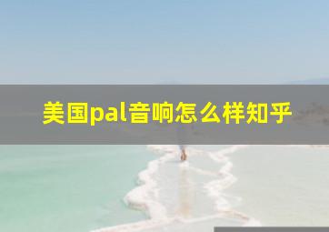 美国pal音响怎么样知乎