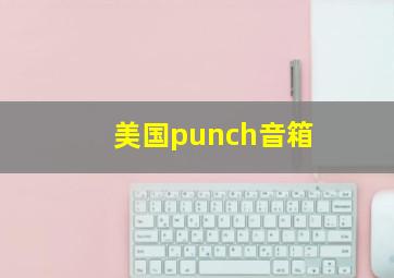 美国punch音箱