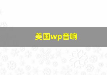 美国wp音响