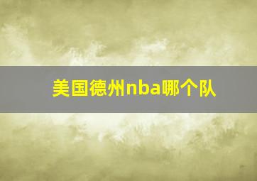 美国德州nba哪个队