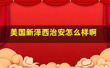 美国新泽西治安怎么样啊