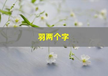 羽两个字