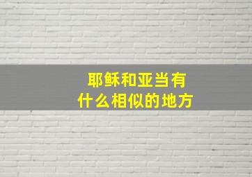 耶稣和亚当有什么相似的地方