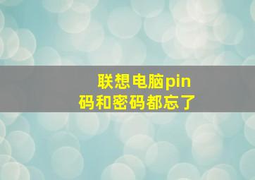 联想电脑pin码和密码都忘了