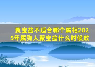 聚宝盆不适合哪个属相2025年属狗人聚宝盆什么时候放