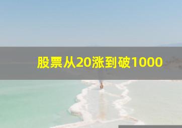 股票从20涨到破1000