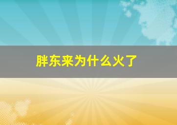 胖东来为什么火了