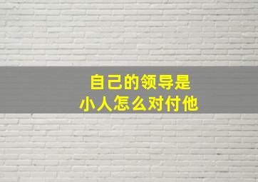 自己的领导是小人怎么对付他