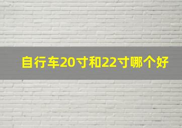 自行车20寸和22寸哪个好