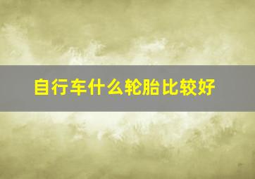 自行车什么轮胎比较好