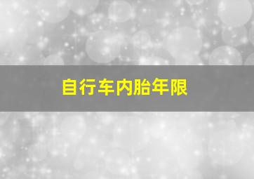 自行车内胎年限