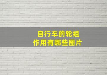 自行车的轮组作用有哪些图片