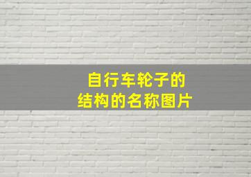 自行车轮子的结构的名称图片