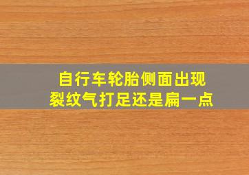 自行车轮胎侧面出现裂纹气打足还是扁一点