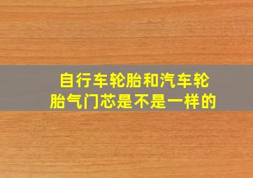 自行车轮胎和汽车轮胎气门芯是不是一样的