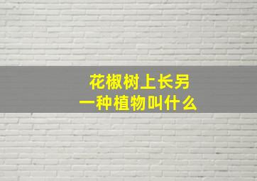 花椒树上长另一种植物叫什么