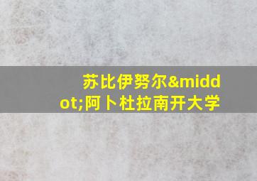 苏比伊努尔·阿卜杜拉南开大学