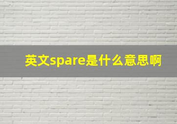 英文spare是什么意思啊