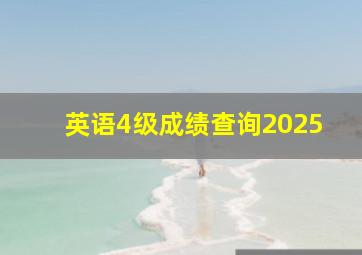 英语4级成绩查询2025