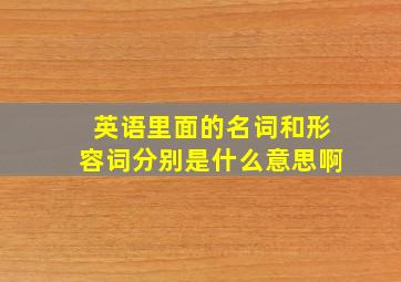 英语里面的名词和形容词分别是什么意思啊