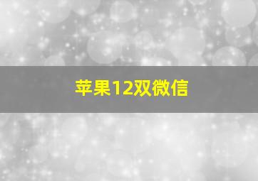 苹果12双微信