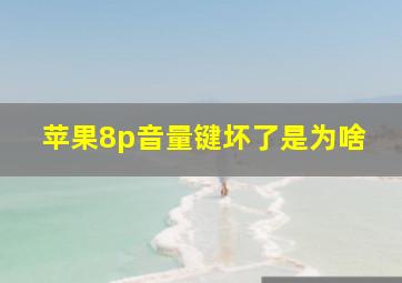 苹果8p音量键坏了是为啥