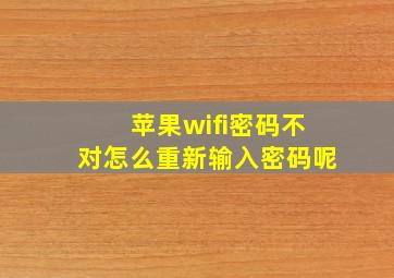 苹果wifi密码不对怎么重新输入密码呢