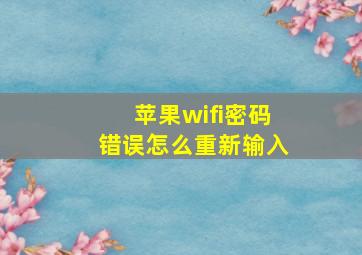 苹果wifi密码错误怎么重新输入