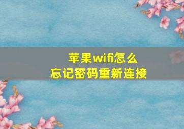 苹果wifi怎么忘记密码重新连接