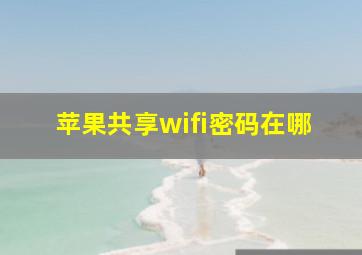 苹果共享wifi密码在哪