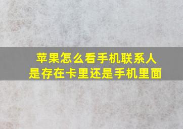 苹果怎么看手机联系人是存在卡里还是手机里面