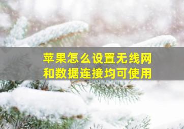 苹果怎么设置无线网和数据连接均可使用