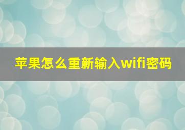 苹果怎么重新输入wifi密码