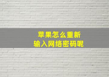 苹果怎么重新输入网络密码呢