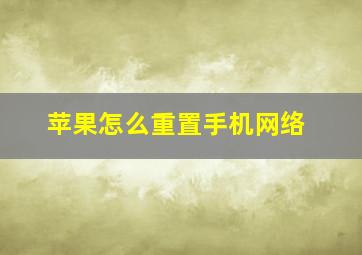 苹果怎么重置手机网络