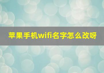 苹果手机wifi名字怎么改呀