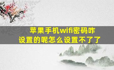 苹果手机wifi密码咋设置的呢怎么设置不了了