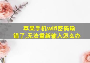 苹果手机wifi密码输错了,无法重新输入怎么办