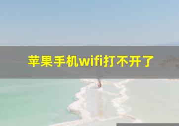 苹果手机wifi打不开了