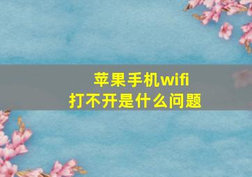 苹果手机wifi打不开是什么问题