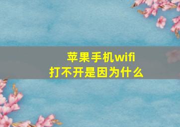 苹果手机wifi打不开是因为什么