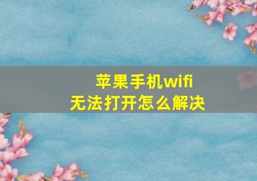 苹果手机wifi无法打开怎么解决