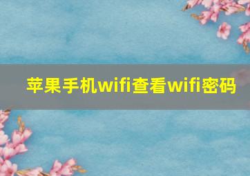 苹果手机wifi查看wifi密码